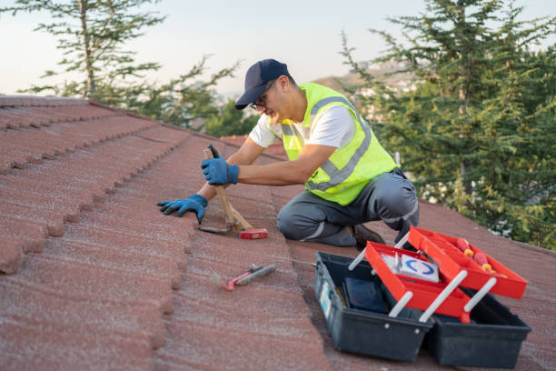 Best Roof Gutter Cleaning  in East Riverdale, MD