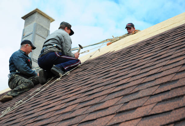 Tile Roofing Contractor in East Riverdale, MD